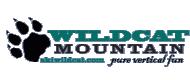 Wildcat Mountain